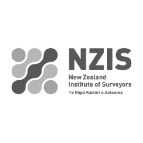 NZIS